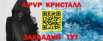 спиды Моздок