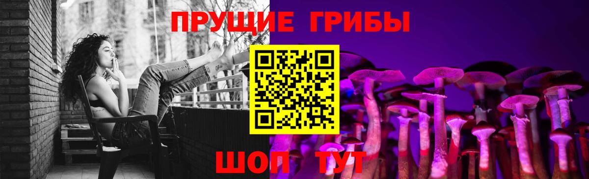 Псилоцибиновые грибы Psilocybine cubensis Торжок